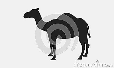 Vector Camel silhouette. Vector Illustration