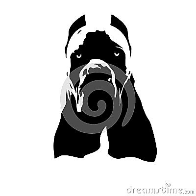 Italian Cane Corso dog logo Vector Illustration