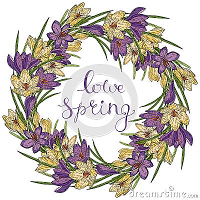 Vector card with crocuses Vector Illustration