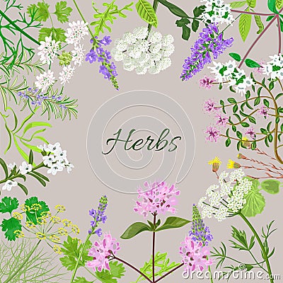Vector card with herbal flowers. Vector Illustration