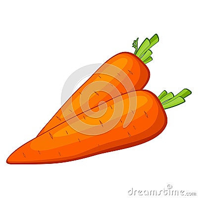Vector carrot Vector Illustration
