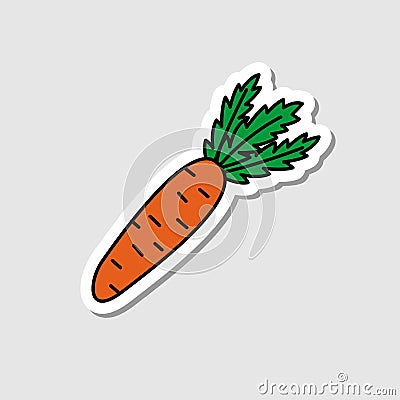 Vector carrot sticker in cartoon style. Isolated vegetable with shadow. Flat simple icon with black lines Vector Illustration