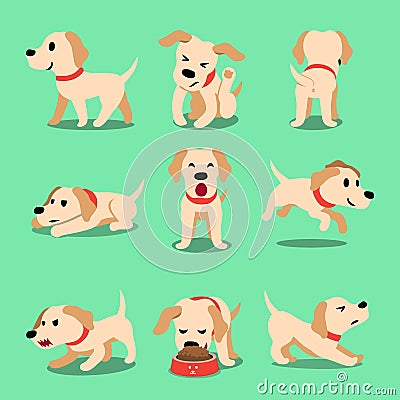 Vector cartoon character labrador dog poses Vector Illustration