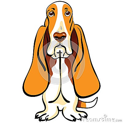 vector Cartoon Dog Basset Hound breed Vector Illustration