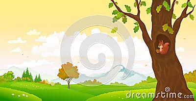 Autumn woods and squirrel Vector Illustration