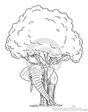 Vector Cartoon Of Elephant Hiding Behind Tree | CartoonDealer.com