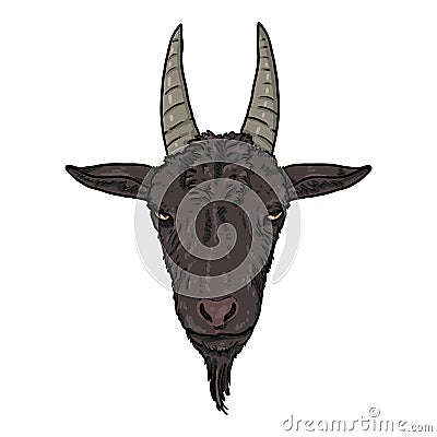 Vector Cartoon Goat Head Vector Illustration