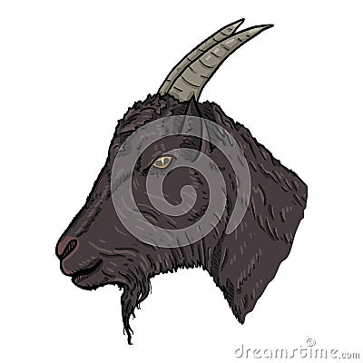 Vector Cartoon Goat Head. Side View Vector Illustration