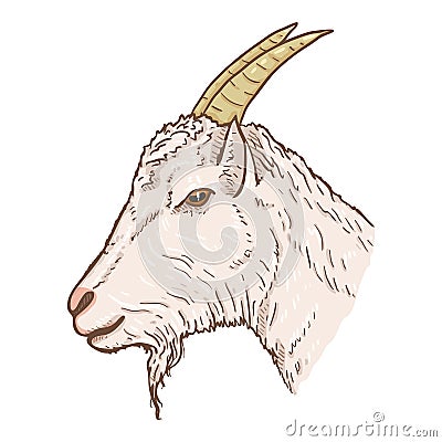 Vector Cartoon Goat Head Vector Illustration