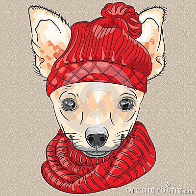 Vector cartoon hipster dog Chihuahua breed smiling Vector Illustration