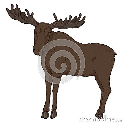 Vector Cartoon Moose on White Background Vector Illustration