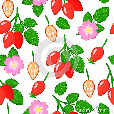 Vector cartoon seamless pattern with Dogrose or Rosa rubiginosa exotic fruits, flowers and leafs on white background Stock Photo
