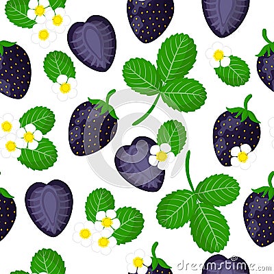 Vector cartoon seamless pattern with Black strawberries exotic fruits, flowers and leafs on white background Stock Photo