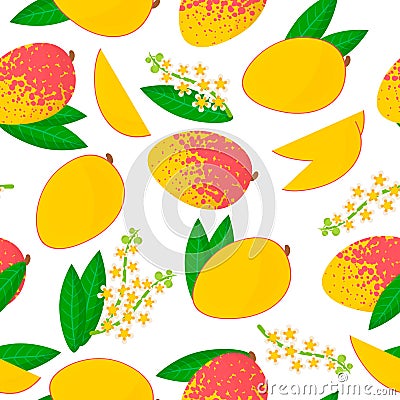 Vector cartoon seamless pattern with Mangifera indica or Mango exotic fruits, flowers and leafs on white background Stock Photo