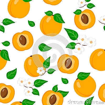 Vector cartoon seamless pattern with Prunus armeniaca or Apricot exotic fruits, flowers and leafs on white background Stock Photo
