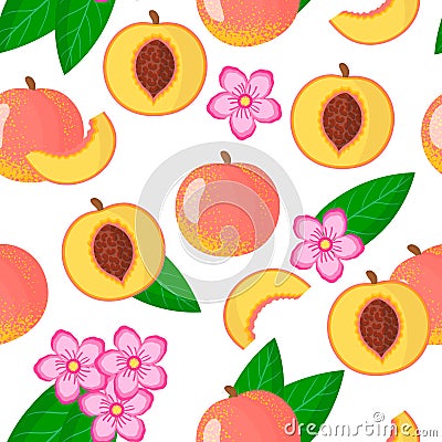 Vector cartoon seamless pattern with Prunus persica or Peach exotic fruits, flowers and leafs on white background Stock Photo