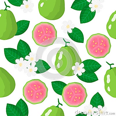 Vector cartoon seamless pattern with Psidium or Guava exotic fruits, flowers and leafs on white background Stock Photo