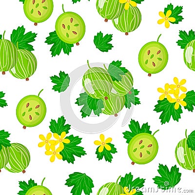 Vector cartoon seamless pattern with Ribes uva-crispa or gooseberry exotic fruits, flowers and leafs on white background Stock Photo
