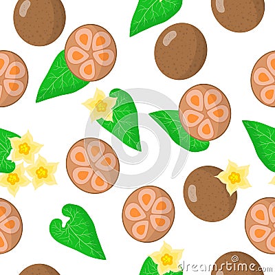 Vector cartoon seamless pattern with Siraitia grosvenorii or Arhat exotic fruits, flowers and leafs on white background Stock Photo