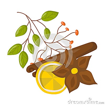 Vector cartoon spices for wine beverage Vector Illustration