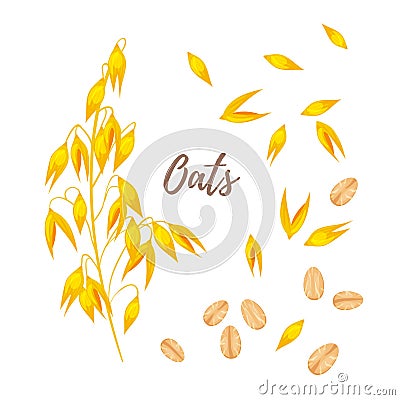 Cereals - oats, oatmeal and seeds Vector Illustration