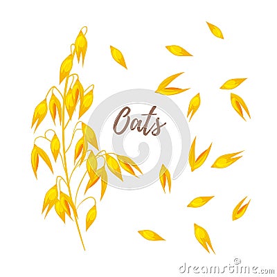 Cereals - oats and seeds Vector Illustration