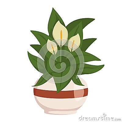 Vector cartoon style illustration potted house plant Vector Illustration