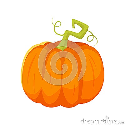 Vector cartoon style illustration of pumpkin. Vector Illustration