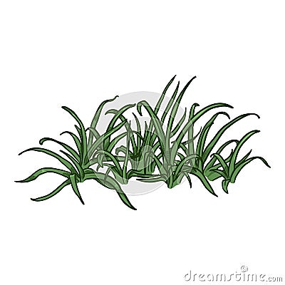 Vector Cartoon Wild Growth Green Grass Vector Illustration