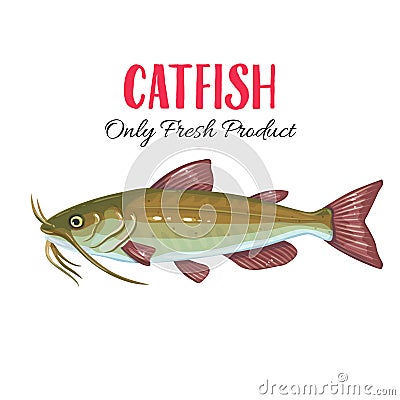 Vector catfish. Vector Illustration