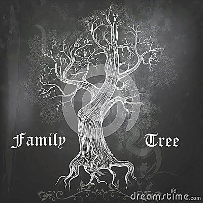 Vector chalkboard background with hand drawn vector oak tree Stock Photo
