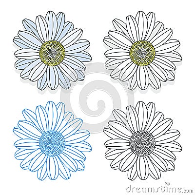 Vector chamomile flower Vector Illustration