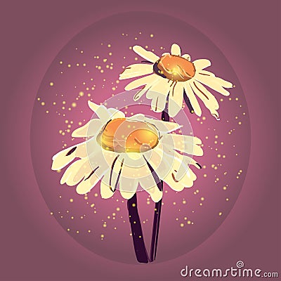 Vector chamomile illustration. Hand drawn chamomile. Cartoon Illustration