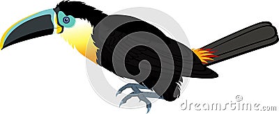 Vector channel-billed toucan Vector Illustration