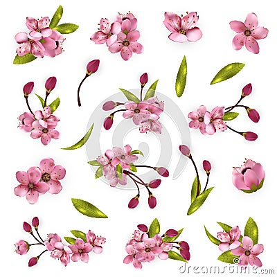 Vector cherry blossom tree elements for design Vector Illustration