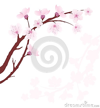 vector cherry branch Vector Illustration