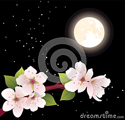 vector cherry branch and moon Vector Illustration