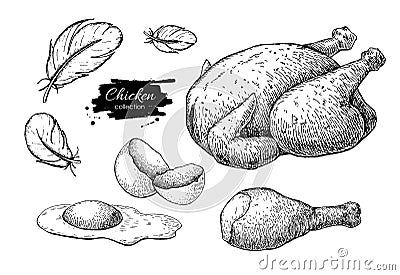 Vector Chicken farming products drawings. Engraved baked whole c Vector Illustration