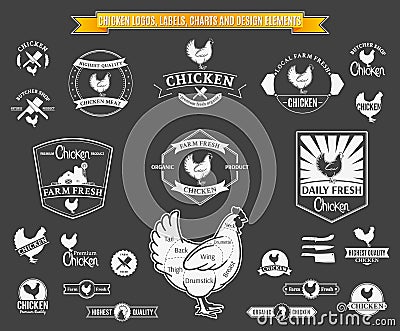 Vector Chicken Labels, Charts and Design Elements Vector Illustration