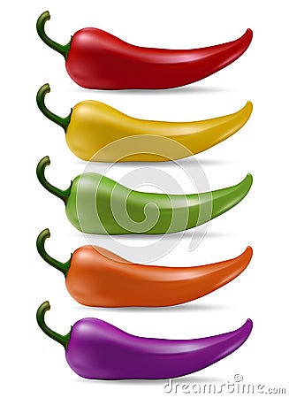 Vector chilli peppers Vector Illustration
