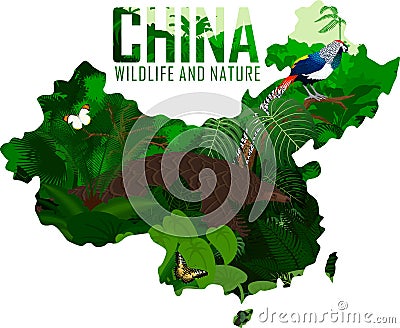 Vector china map with Pangolin and diamond pheasant Vector Illustration