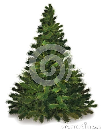 Vector Christmas pine tree Vector Illustration