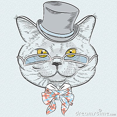 Vector closeup portrait of the British cat hipster Vector Illustration