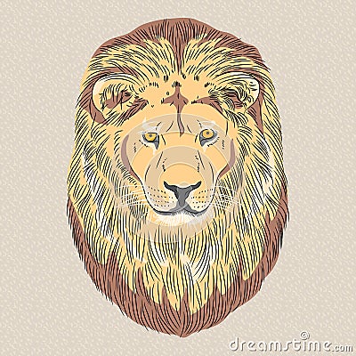 Vector closeup portrait of a serious lion Vector Illustration