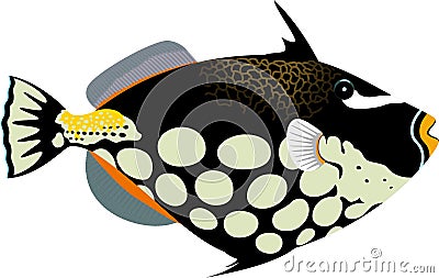 vector Clown triggerfish illustration Vector Illustration