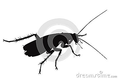 Vector cockroach Vector Illustration