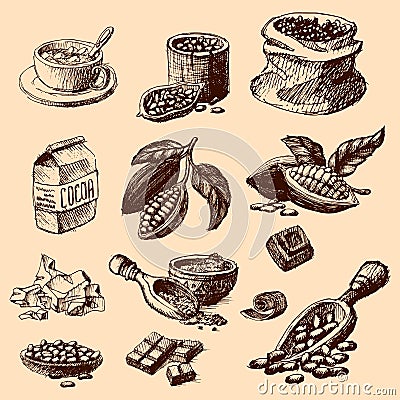 Vector cocoa hand drawn sketch illustration. Vector Illustration
