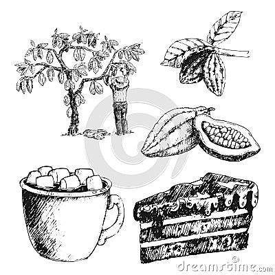 Vector cocoa products hand drawn sketch doodle food chocolate sweet illustration. Vector Illustration