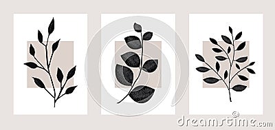 Collection of botanical art backgrounds Vector Illustration