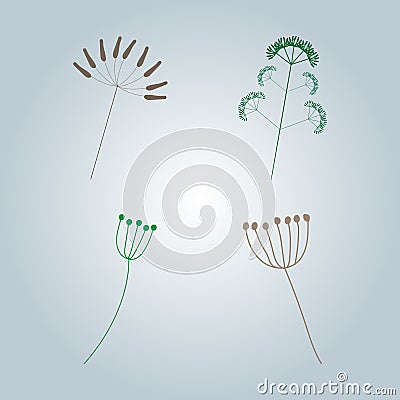 Vector collection of botanical elements. Twigs with leaves, berries, inflorescences. Vector Illustration